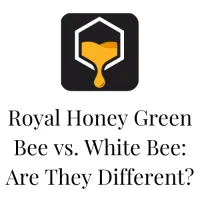 Royal Honey Green Bee vs. White Bee: Are They Different? Debunking the Fake vs. Real Myth
