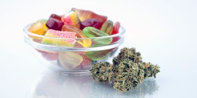 Life Boost CBD Gummies Review: Scam or Should You Buy?