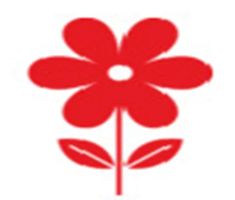 Wholesale South