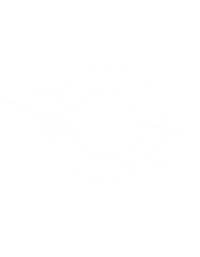 Online Store