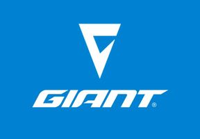 Giant Bicycles Kenora ontario