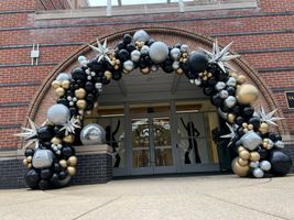 Organic Balloon Arch 25' Long, 3 Colors