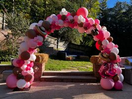 Organic Balloon Arch 25' Long, 4 Colors
