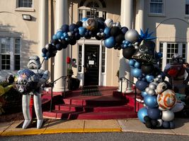 Organic Balloon Arch 20' Long, 4 Colors