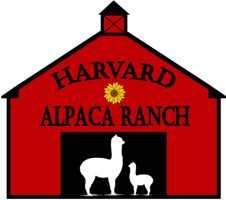 The Online Alpaca Shop