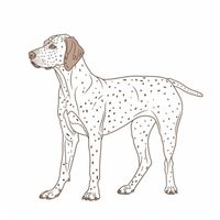 Violet colored and Butterscotch colored German Shorthair Pointer Dogs