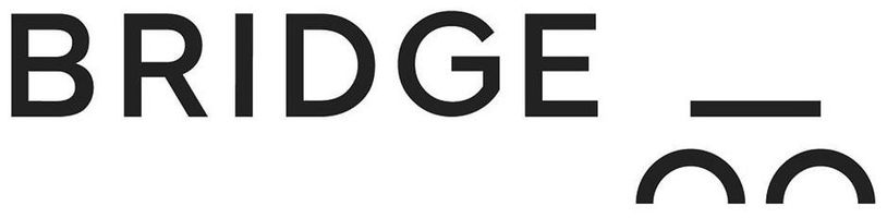 Bridge bike logo