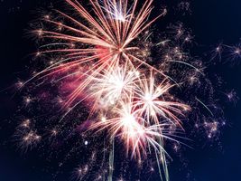 Fireworks Stress and Pets