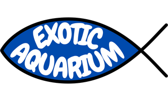 Exotic Aquarium