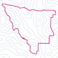 Link to Strava route for a Pacific Spirit Gravel, 30k