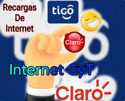 Internet CyT