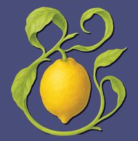 Lemon Aide Consulting, LLC
