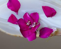Make This Valentine's Day Unforgettable with Body Jewelry from BVLA