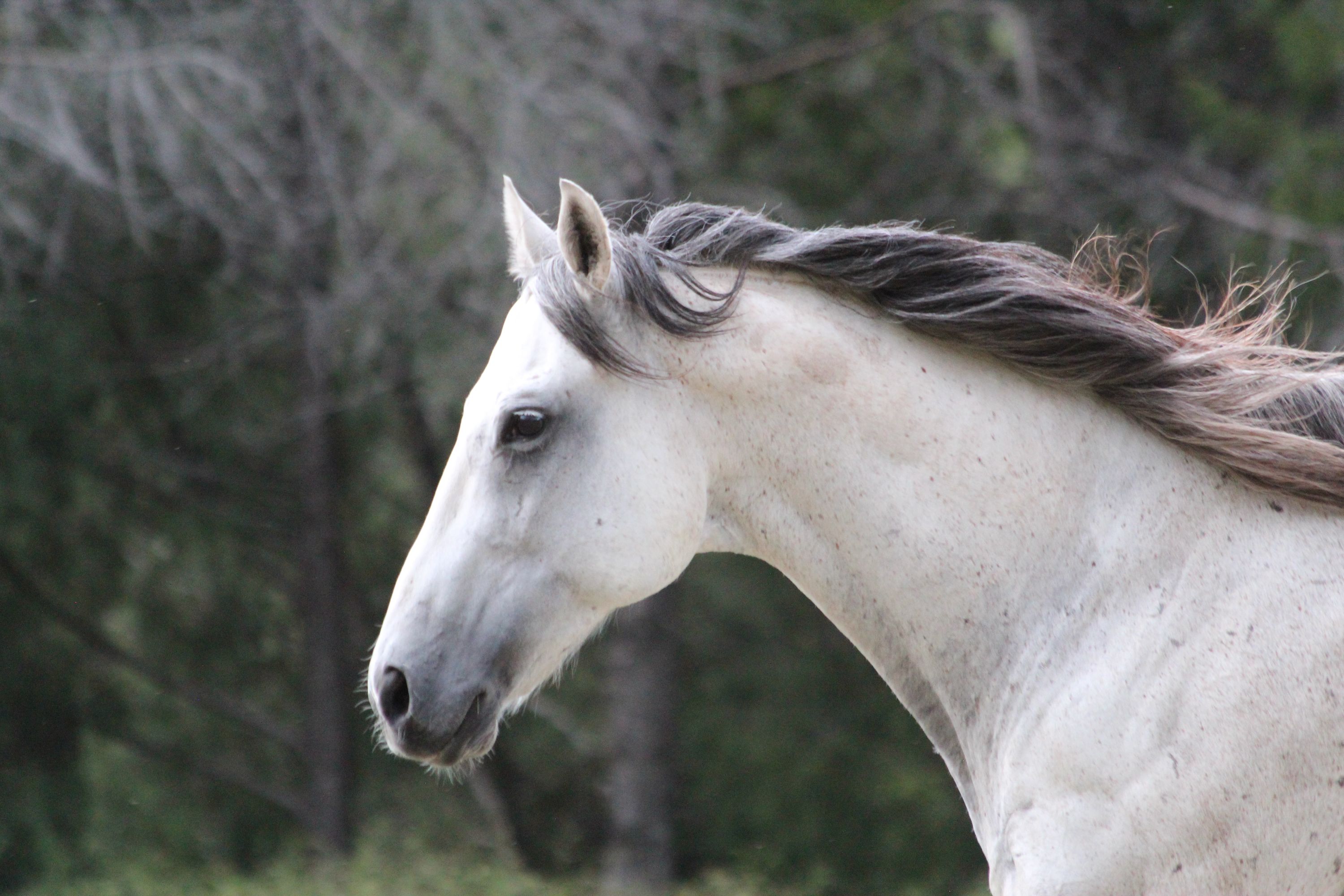 Mimbres Valley Feed & Western Wear photo 4