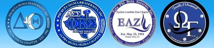 PVAMU Blue and White