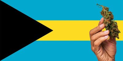 CannabisCove-Bahamas