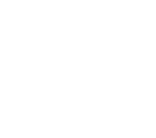 This Life Apparel