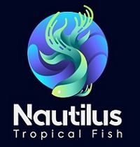 Nautilus Tropical Fish