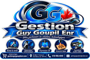 Gestion Guy Goupil Enr