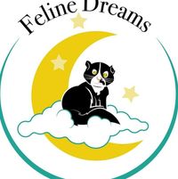 Feline Dreams