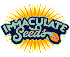 Immaculate Seeds