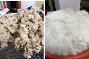 How Wool Becomes Yarn, Step By Step