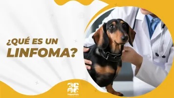 ¿Qué es un linfoma?