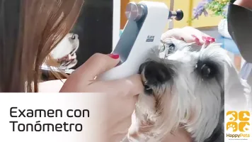 Tonometría Ocular