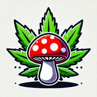 Mushroom Saloon @ CBD Life