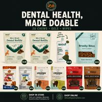 Dental Health, Made Doable: 20 Chews, Gels & Wipes That Actually Work