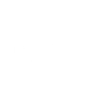 DMV Auto