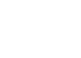 The Accessory Lab