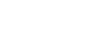 Anyware LLC