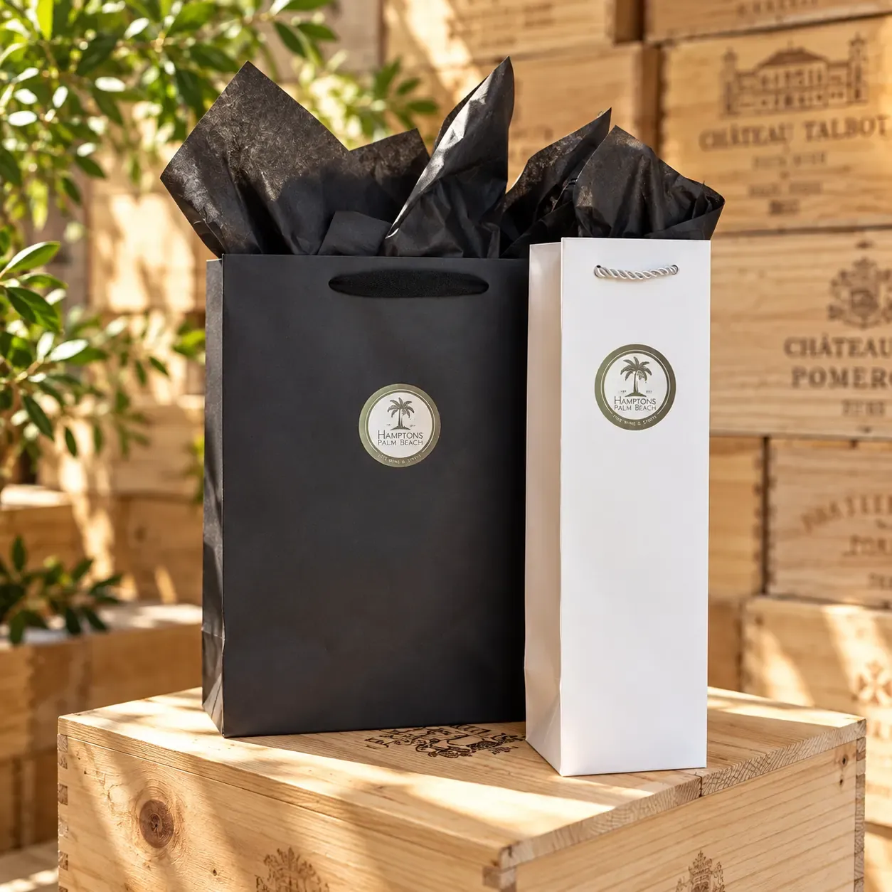 Gift bag and tissue paper presentation