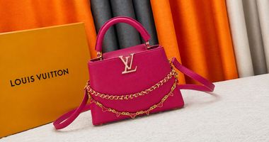 Which Louis Vuitton Bag Is Most Versatile for Everyday,Work,Travel,and Dinner?