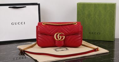 Gucci Bag for Work and Everyday Use Carry Format Fits a Full Day?