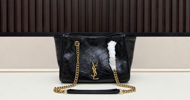 <p><strong>Yves Saint Laurent Sac de Jour vs Icare</strong> Organization or Flexible Capacity?</p>