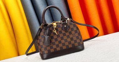 What Fits in a Louis Vuitton Alma BB? Size,Capacity and Everyday Use