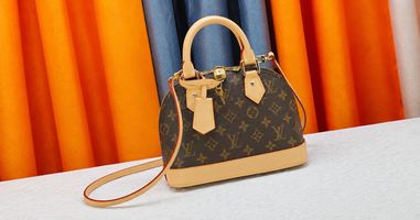 <p>Louis Vuitton Alma BB: Is It Worth It for Everyday Use?</p>