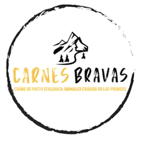 Carnes Bravas