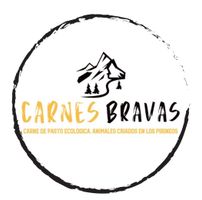 Carnes Bravas