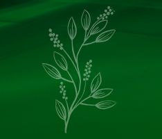 ColCo Online Store - Collagen Health and Wellbeing