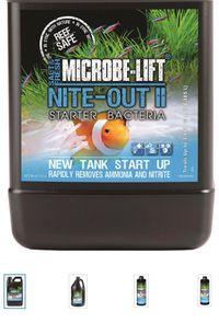 Beneficial Bacteria: How Nite-Out II Protects Your Tank