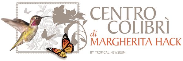 Centro colibrì Istituzione scientifica - Hummingbirds Center