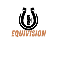 equivision