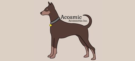 acosmic accessories inc.
