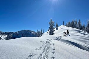 Try Before You Buy: Backcountry Ski and Splitboard Demos in Salida