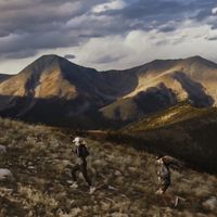 trail runners running in the backcountry with trail running shoes