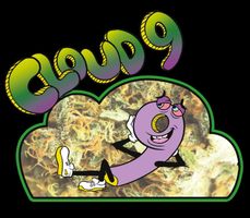 Cloud 9