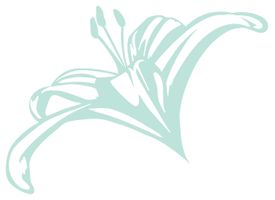 The Lettered Lily Design Studio